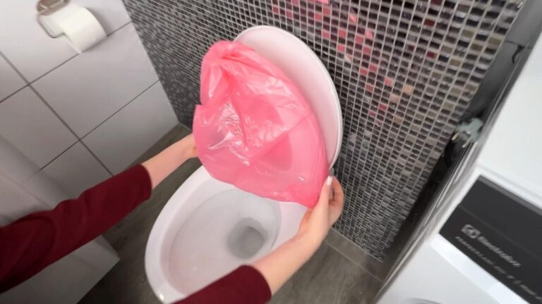 This simple trick transforms your toilet seat into a sparkling clean surface…