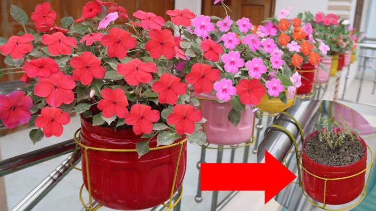This simple idea transforms any balcony into a stunning flower paradise…