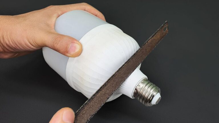 This forgotten trick transforms old light bulbs into stunning garden decor…