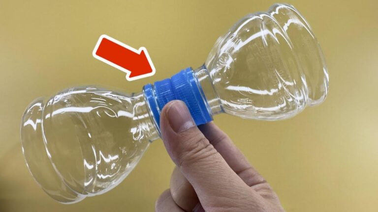 This simple gesture transforms plastic bottles into stunning garden decor…