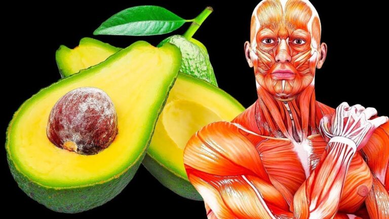 This simple habit could transform your health… Find out what happens when you eat avocado daily…