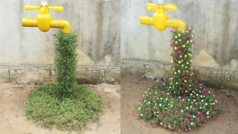 This simple flower garden idea will transform your space into a vibrant oasis…