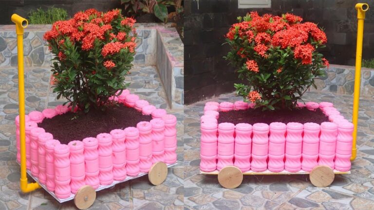 This simple trick transforms plastic bottles into stunning garden planters…