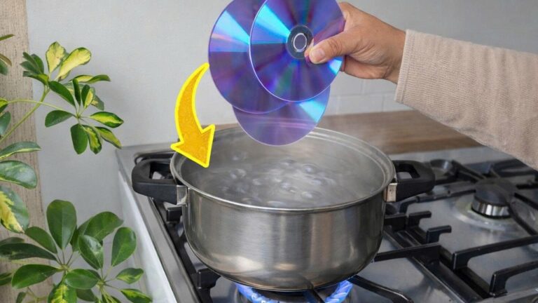 10 Creative Ways to Turn Old CDs into Cash at Home!