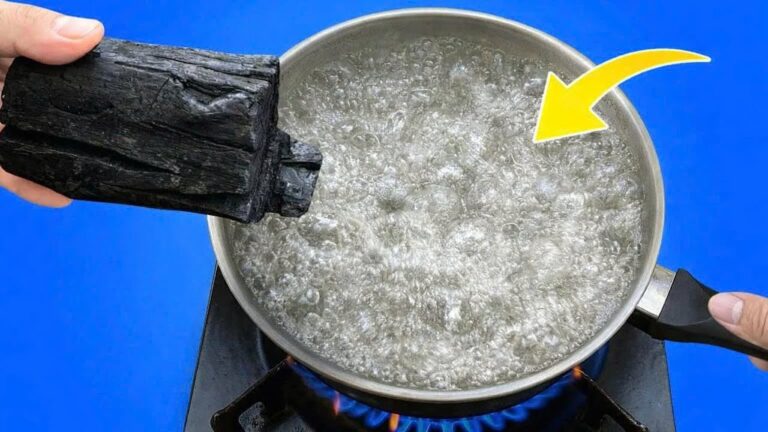 Turn Charcoal into Cash: 7 Surprising DIY Tricks You Need to Try!