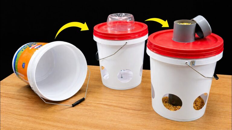 5 Genius Ways to Reuse Empty Plastic Bottles You’ll Wish You Knew Sooner!