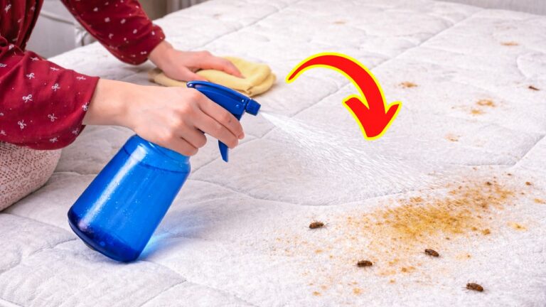 5 Easy Steps to Clean a Stained Mattress Fast and Eliminate Odors at Home
