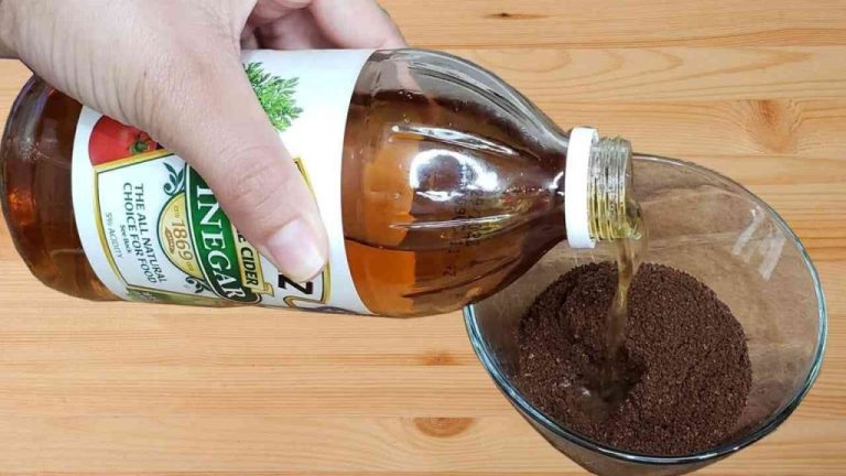 Mix Coffee and Vinegar: Why Millions of Italian Housewives Swear By It
