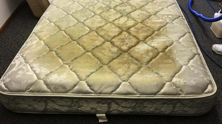 The Hidden Secrets in Your Mattress: Why Regular Cleaning is Essential