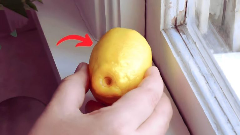 Leave 4 Lemons on Your Windowsill and Discover the Secret Everyone Knows