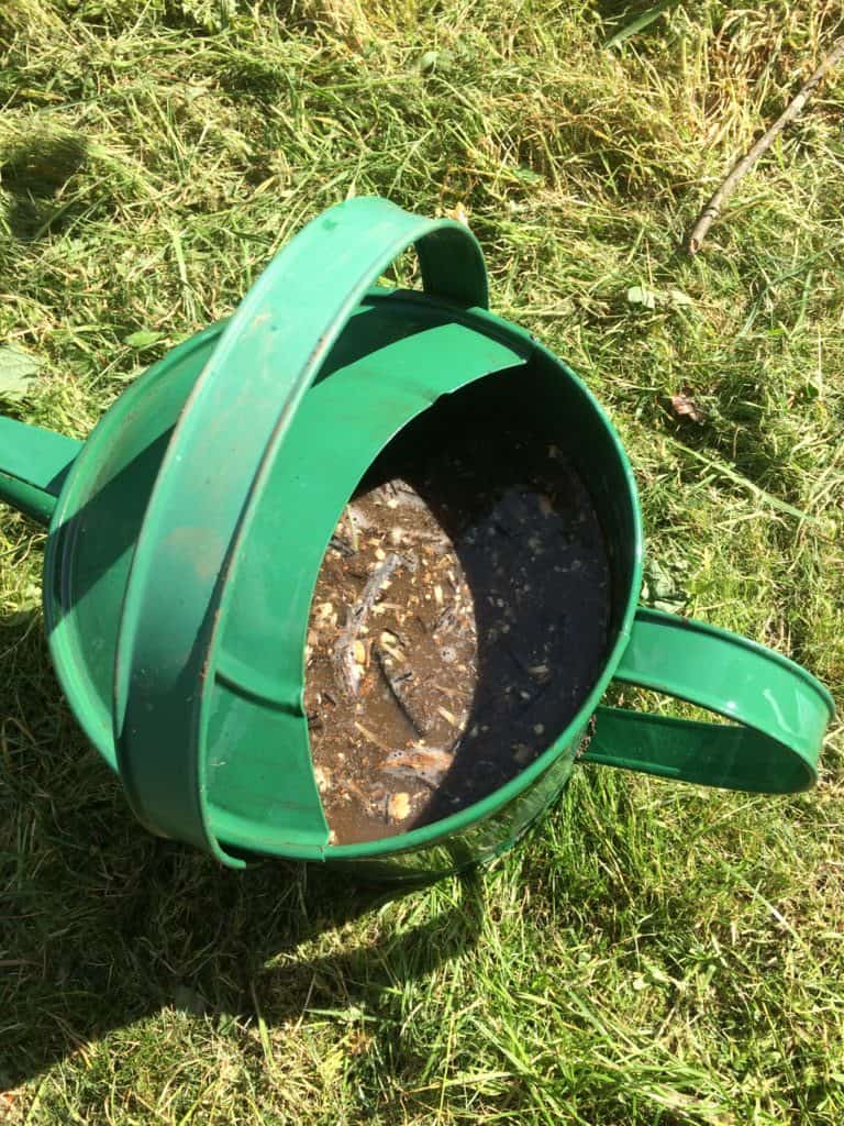The Secret to Brewing Compost Tea for Thriving Plants