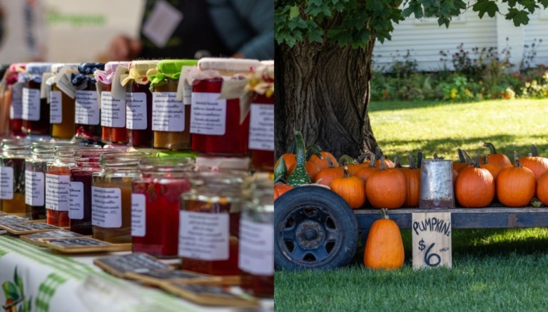 22 Creative Ways to Earn from Your Garden Harvest
