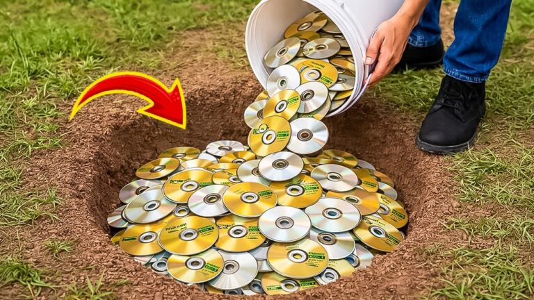 Turn Old CDs into Cash: 5 Easy Ways to Make Money Today!