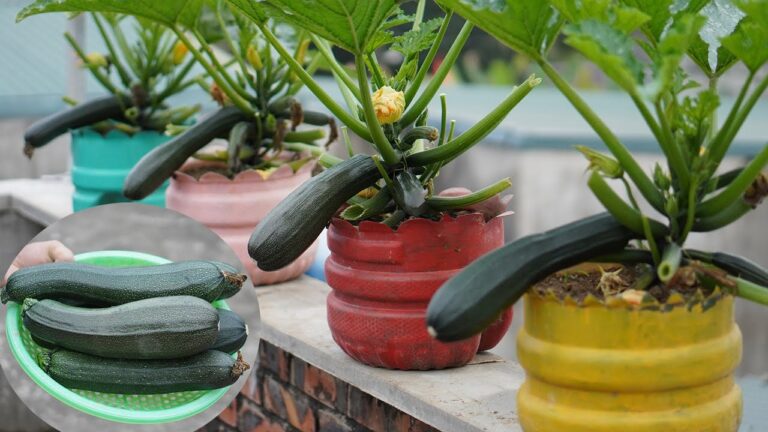 7 Quick Tips for Growing Zucchini in Plastic Bottles That Work Wonders!