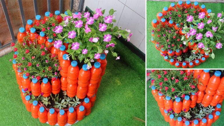 10 Creative Steps to Build a DIY Spiral Garden from Plastic Bottles