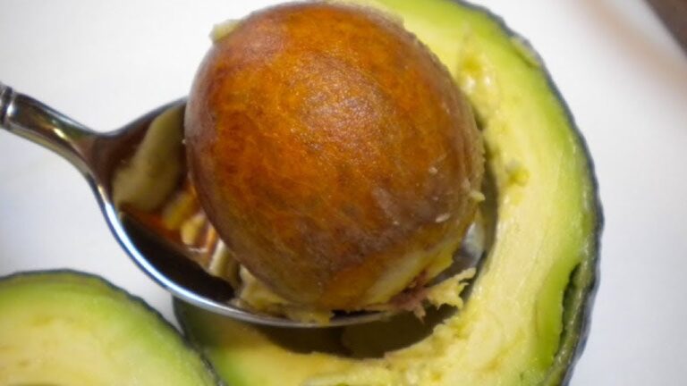 5 Amazing Ways to Transform Avocado Pits You Never Knew About!