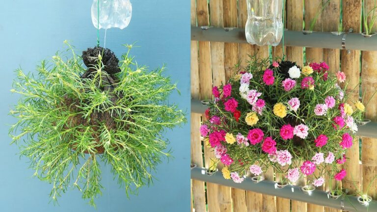 7 Creative Automatic Watering Ideas for Your Backyard Garden Using Bottles and Nets