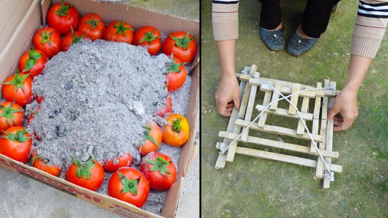 501 Budget Gardening Tips to Create Your Dream Garden Without Breaking the Bank