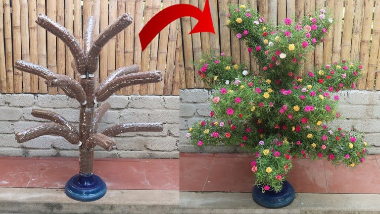 10 DIY Portulaca Garden Ideas Using Plastic Bottles You’ll Love!
