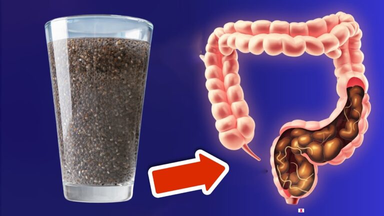 Heal Your Gut in 5 Easy Steps to Combat Illness and Boost Your Health!