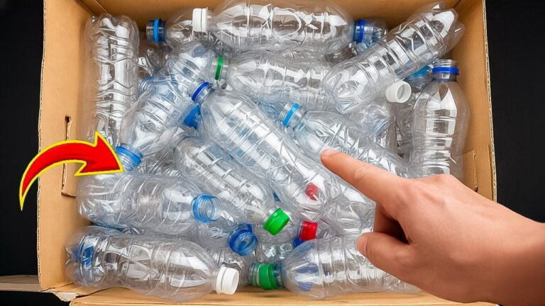 Unlock 7 Genius Ways to Transform Old Plastic Bottles into Treasures!